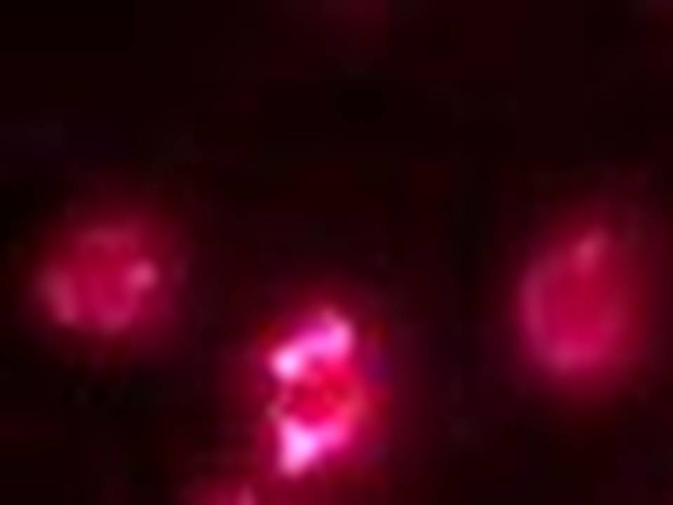 Stained Cationic_fl3
